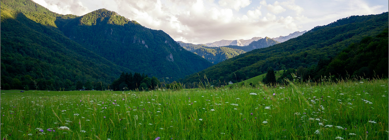 Sustainable development 